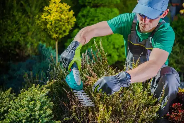 landscaping services Weidman